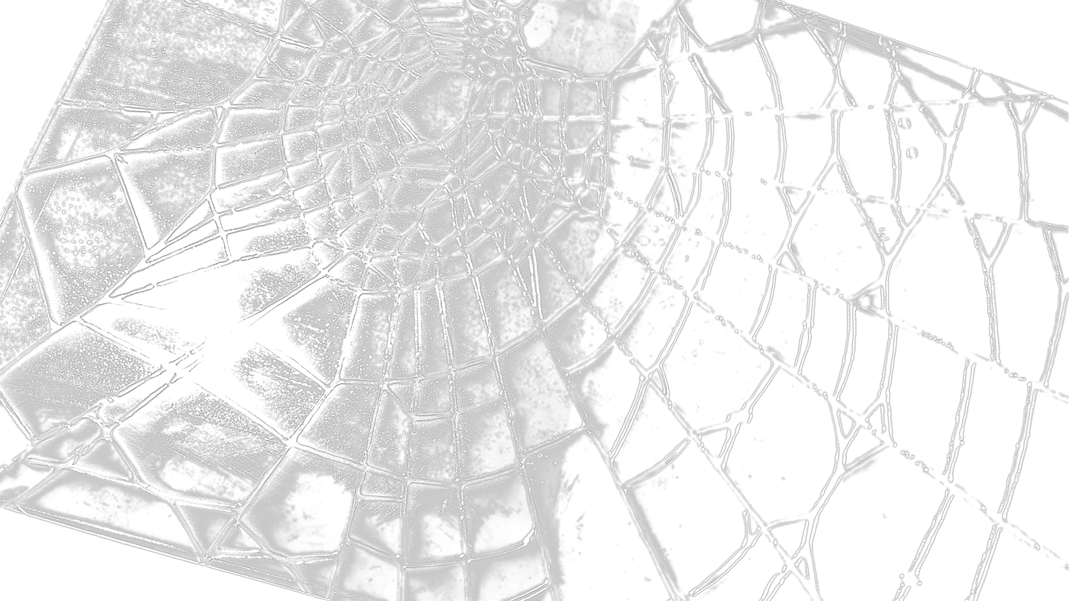 a laser-engraved spider web pattern on a piece of acrylic glass